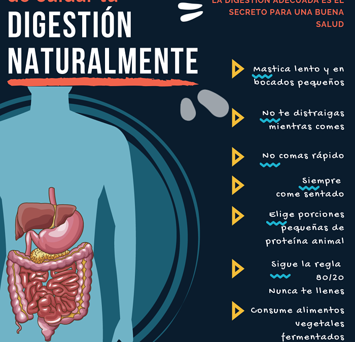 7 formas fáciles de cuidar tu digestión naturalmente